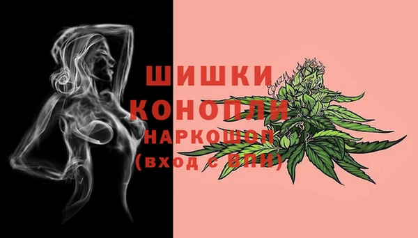 MESCALINE Аркадак