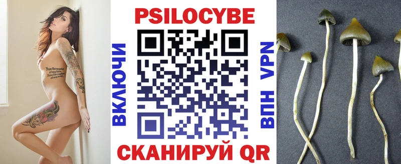 Галлюциногенные грибы Psilocybine cubensis  Верхняя Салда 